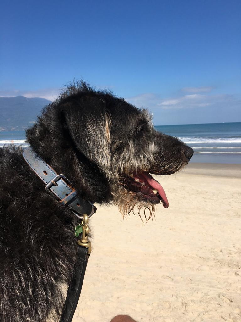   Sirius Black aproveitando um dia de praia